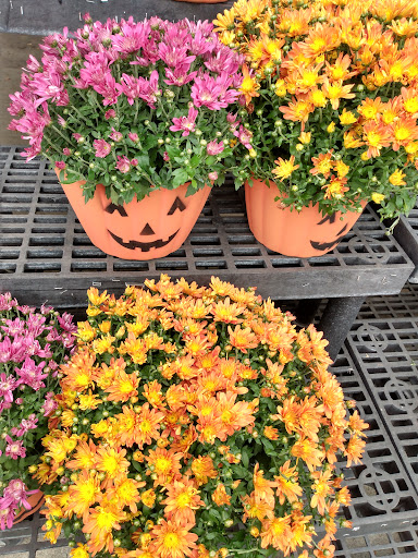 Supermarket «Super Stop & Shop», reviews and photos, 180 Danbury Rd, New Milford, CT 06776, USA