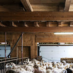 Photo n° 3 de l'avis de Jennifer.e fait le 01/05/2022 à 18:27 pour Fromagerie CAL ROUS Eleveur Producteur de fromage de brebis à La Cabanasse