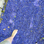 Photo n°2 de l'avis de Katrin. fait le 09/06/2022 à 13:56 sur le  Barfußpark Lüneburger Heide in Egestorf à Egestorf