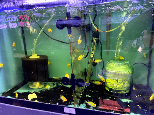 Pet Supply Store «Monster Aquarium Inc.», reviews and photos, 131-08 40 Rd, Flushing, NY 11354, USA