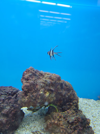 Pet Supply Store «Petco Animal Supplies», reviews and photos, 1619 SE Ensign Ln, Warrenton, OR 97146, USA