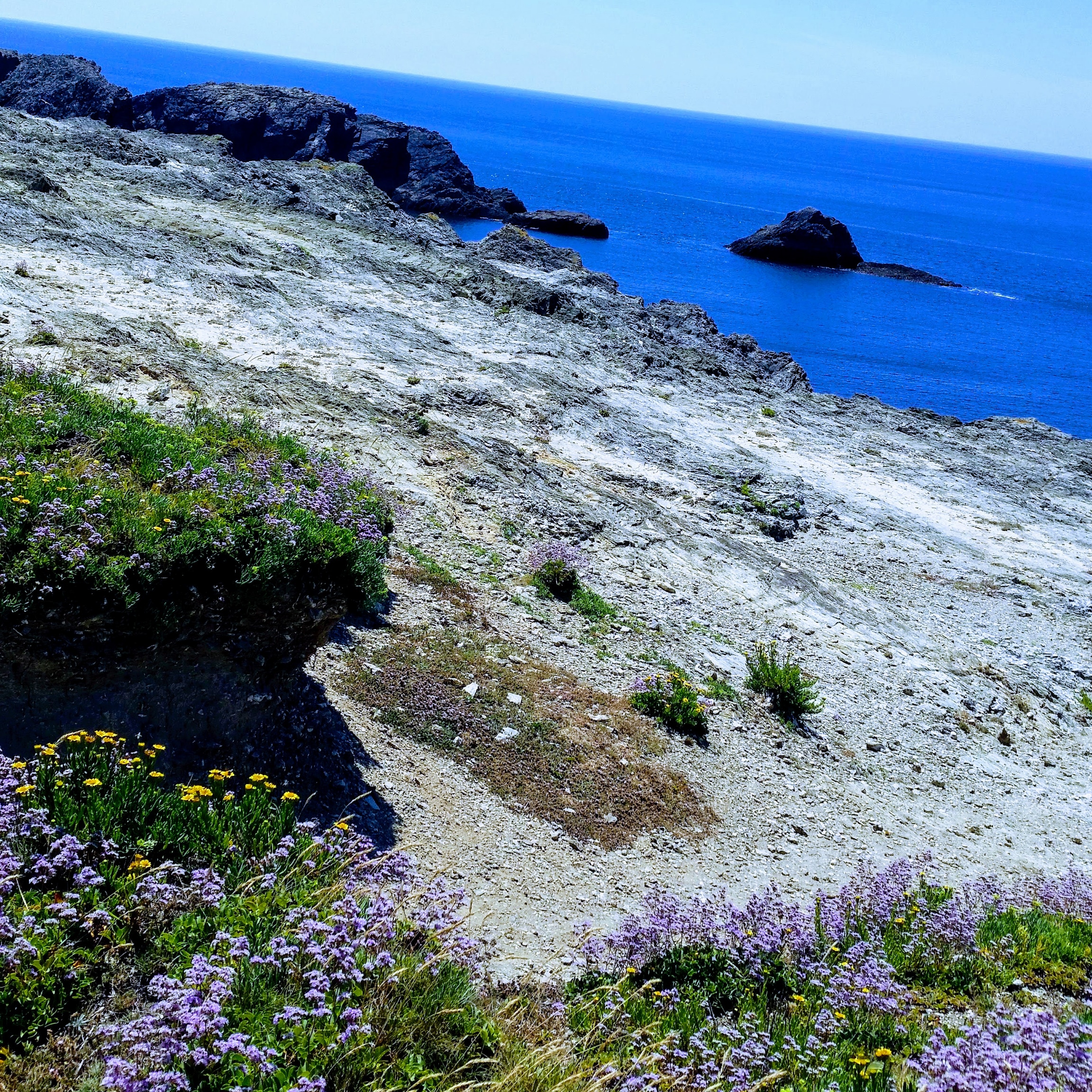 Photo n° 3 de l'avis de Catherine.o fait le 23/07/2018 à 10:05