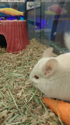 Pet Supply Store «Pet Supplies Plus», reviews and photos, 22381 Pontiac Trail, South Lyon, MI 48178, USA