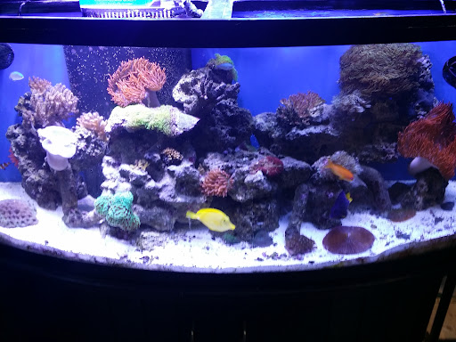 Pet Store «Valley Pets», reviews and photos, 6380 US-85, Fountain, CO 80817, USA