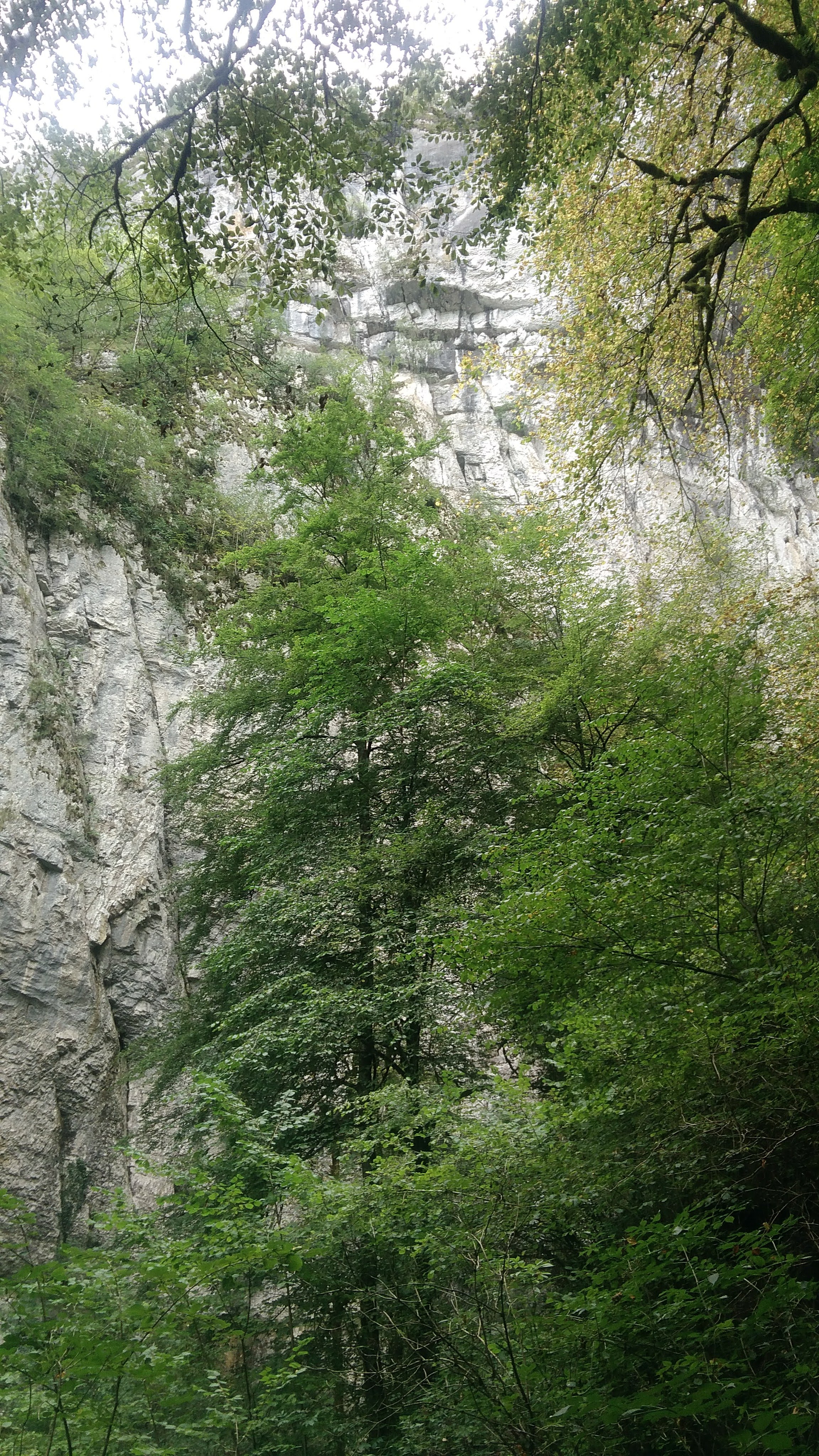 Photo n° 14 de l'avis de Stephanie.a fait le 27/08/2019 à 17:02