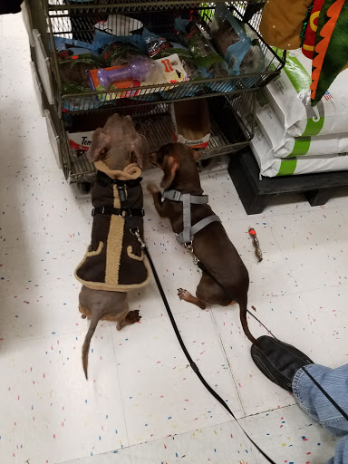 Pet Supply Store «Petco Animal Supplies», reviews and photos, 27111 167th Pl SE #113, Covington, WA 98042, USA