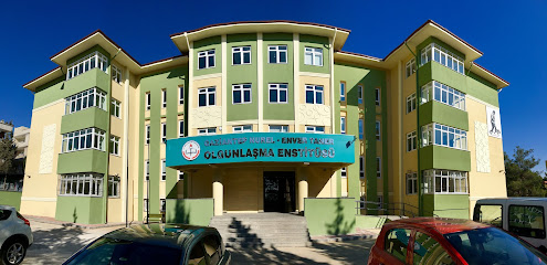 Olgunlaşma Enstitüsü