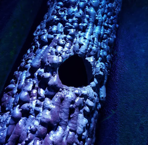 Clue Avenue Escape Rooms image