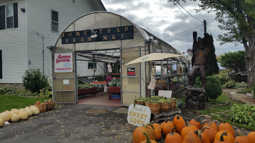 Produce Market «Maiers Homestead Farm Market», reviews and photos, 5672 E Avon Lima Rd, Avon, NY 14414, USA