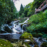 Photo n°8 de l'avis de Rene.i fait le 13/09/2023 à 05:02 sur le  Steinerne Renne à Wernigerode