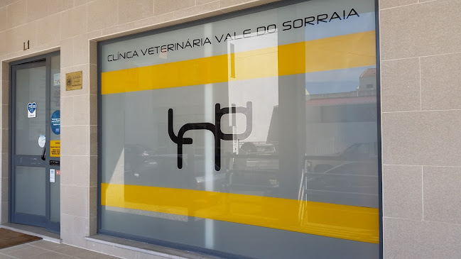 Clínica Veterinária Vale Do Sorraia, Lda.