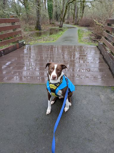 Dog Park «Hazeldale Park/ Dog park», reviews and photos, SW Farmington Rd, Aloha, OR 97007, USA