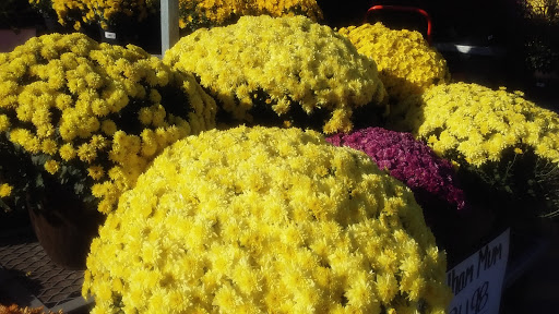 Home Improvement Store «The Home Depot», reviews and photos, 2104 E Independence St, Springfield, MO 65804, USA