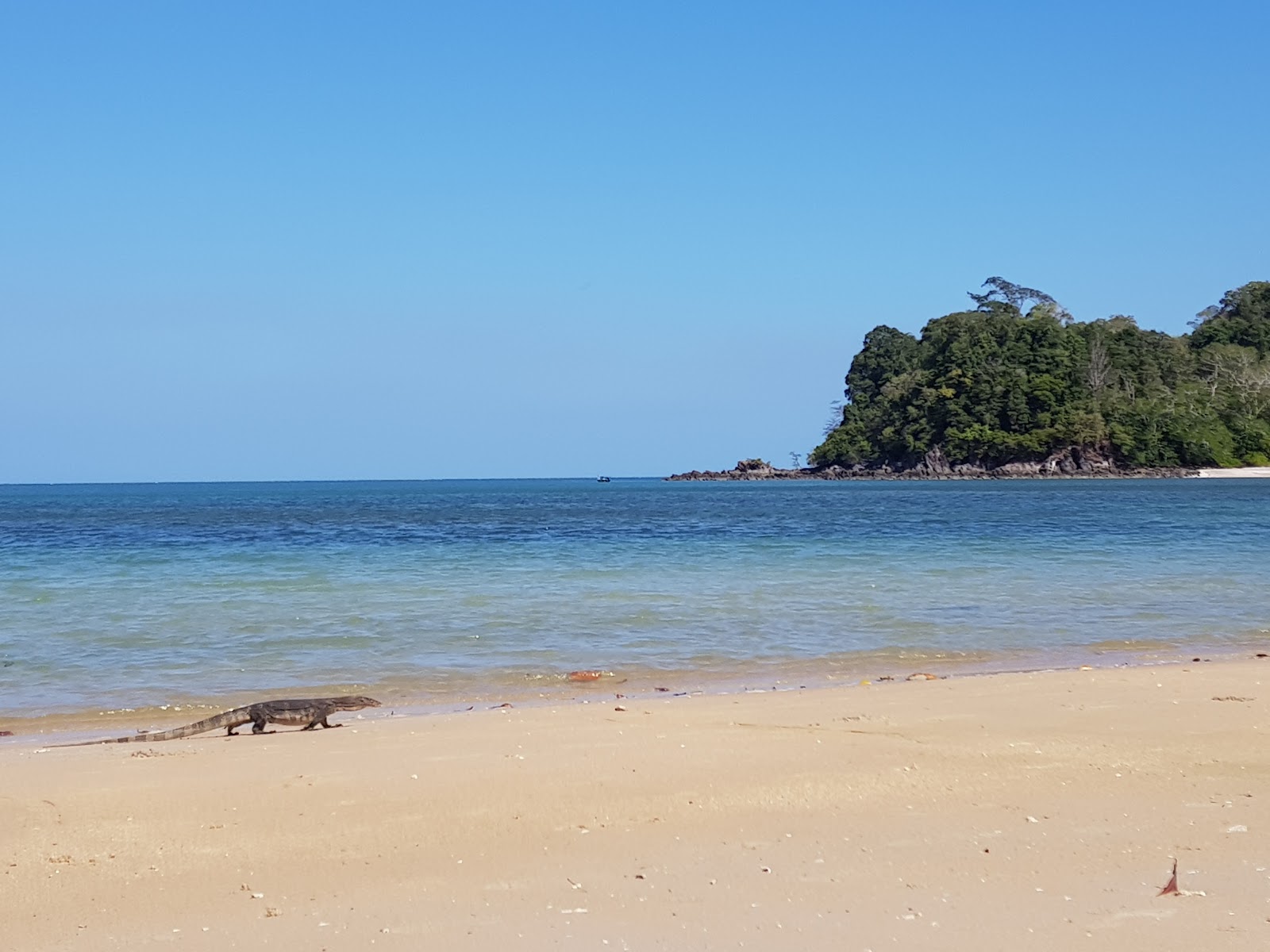 Φωτογραφία του Datai Bay Beach παροχές περιοχής