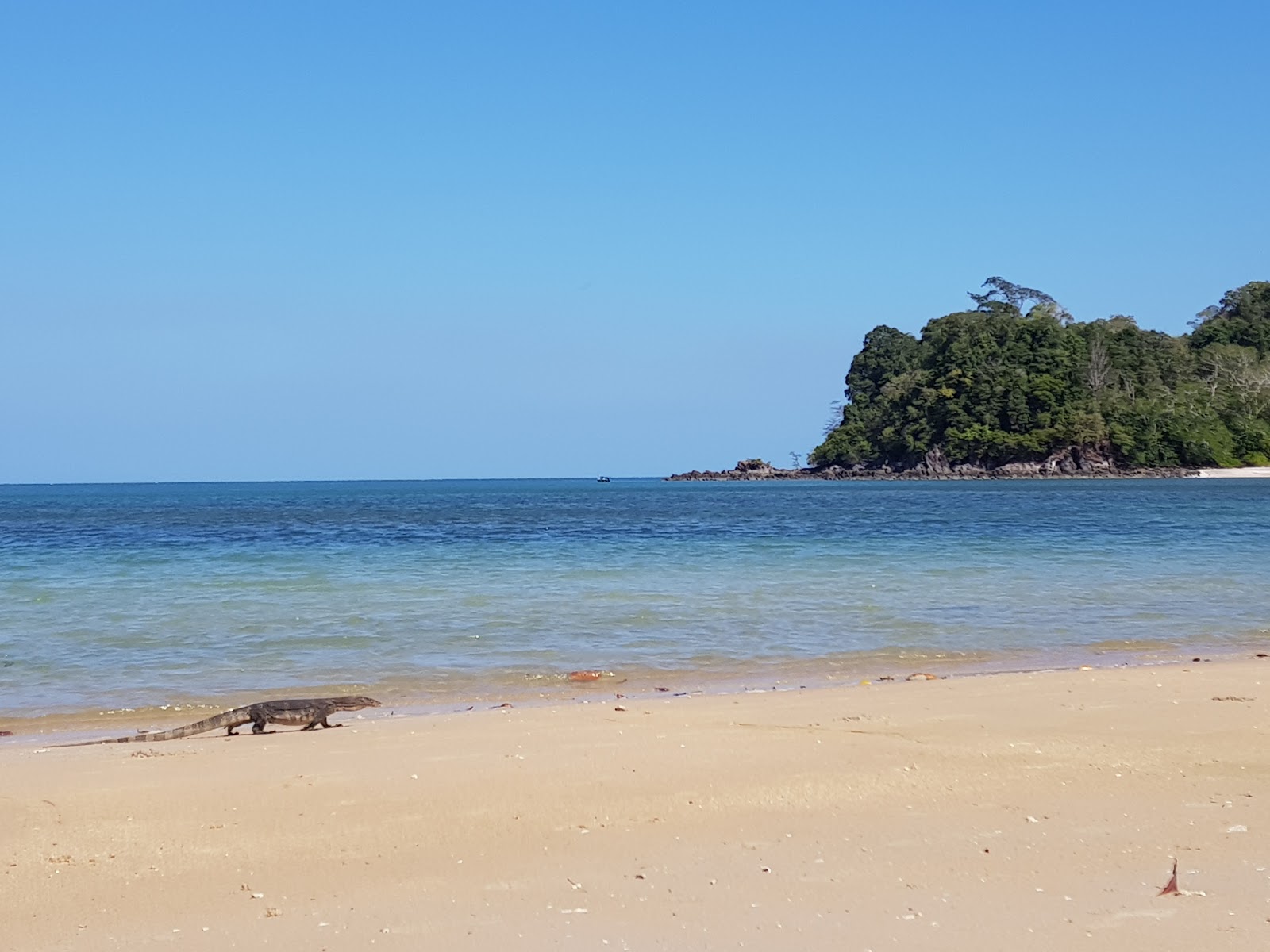 Datai Bay Beach'in fotoğrafı ve yerleşim