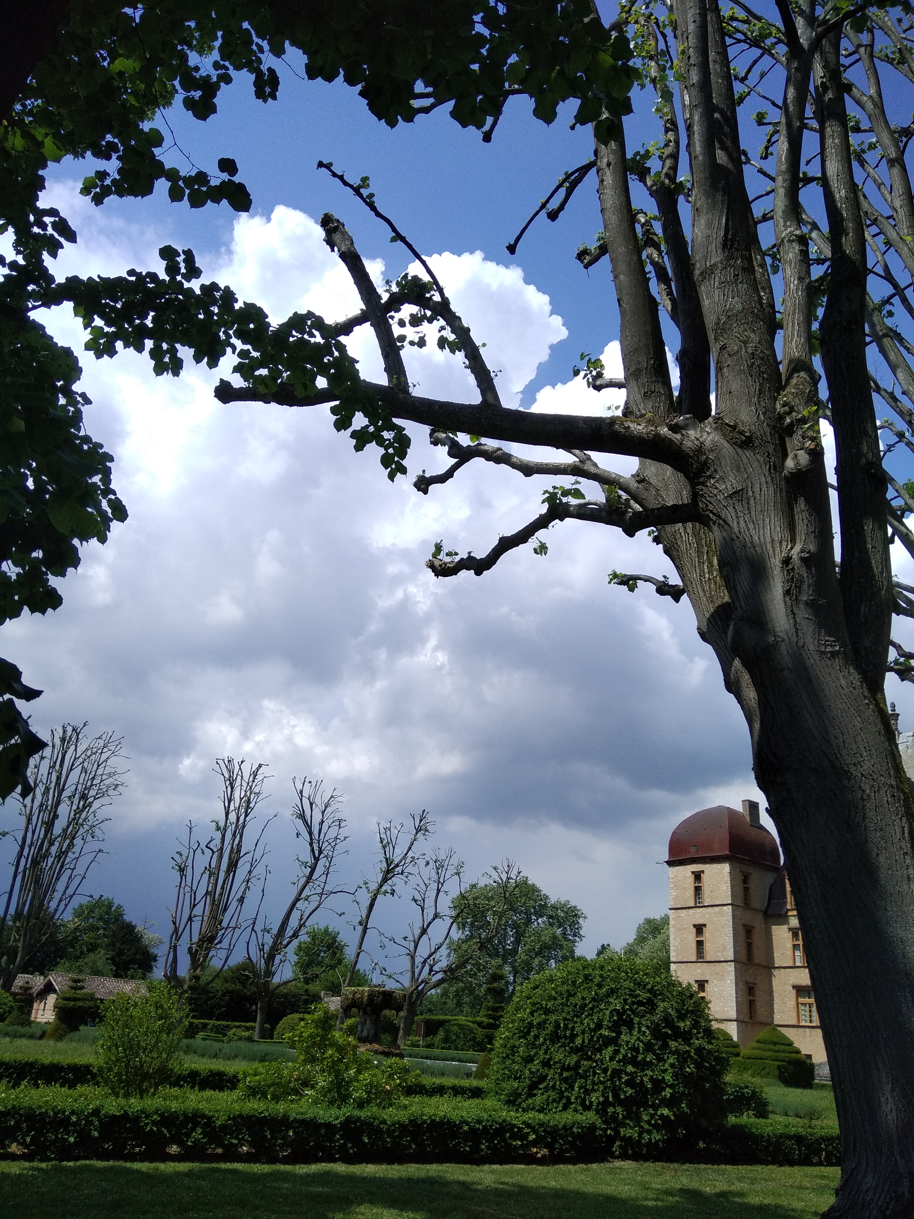 Photo n° 12 de l'avis de Rafaël. fait le 08/05/2018 à 11:48