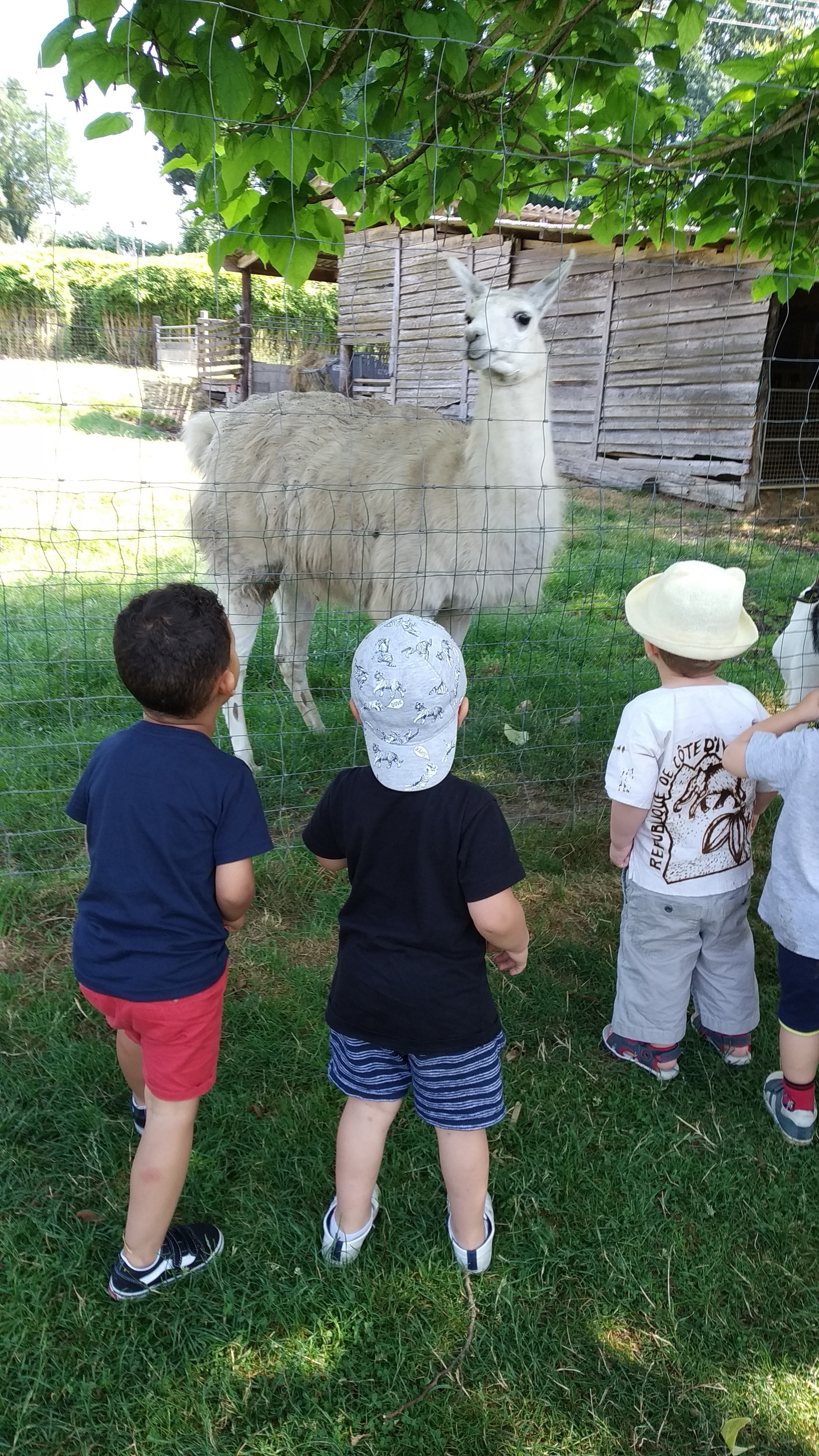 Photo n° 5 de l'avis de Emeline.. fait le 04/07/2019 à 09:32