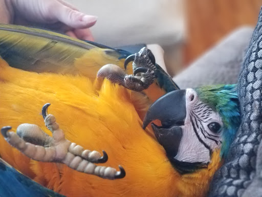 Pet Store «WorldWide Fish & Pets», reviews and photos, 61 Amity Rd, New Haven, CT 06515, USA