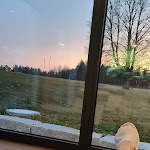 Photo n°3 de l'avis de Thierry.o fait le 22/03/2024 à 13:12 sur le  Wellnesshotel Sonnenhof & Sonnhalde à Ühlingen-Birkendorf