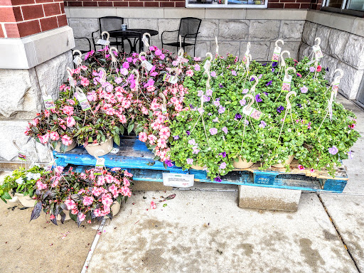 Grocery Store «Fresh Thyme Farmers Market- Fairview Heights», reviews and photos, 6569 N Illinois St, Fairview Heights, IL 62208, USA