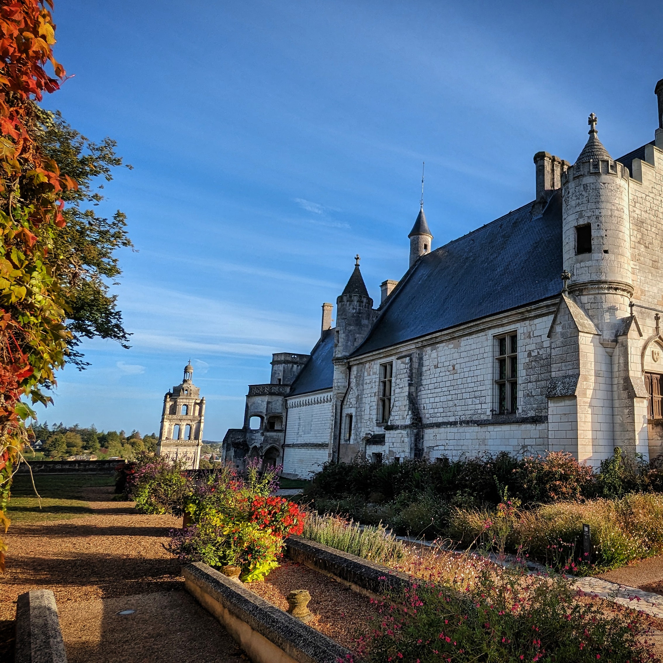 Photo n° 1 de l'avis de celine.J fait le 27/10/2023 à 06:19