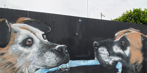 Pensioni per cani e dog hotel a Rebeldog