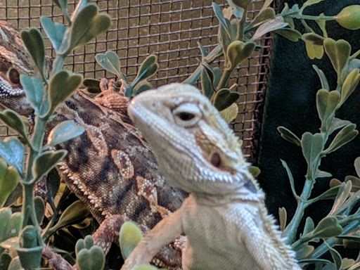 Pet Supply Store «Pet Supplies Plus», reviews and photos, 911 N Cable Rd a, Lima, OH 45805, USA