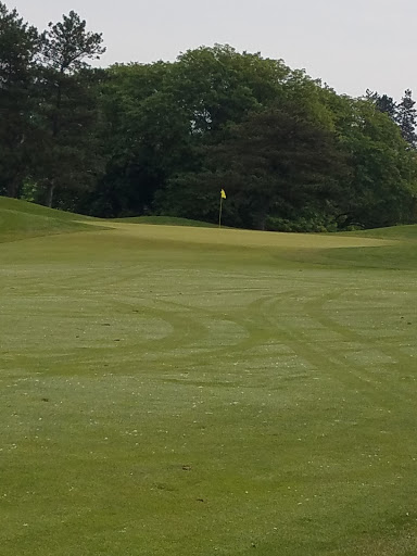 Golf Course «The Emerald Golf Course», reviews and photos, 2300 W Maple Rapids Rd, St Johns, MI 48879, USA