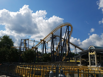 Batwing Coaster