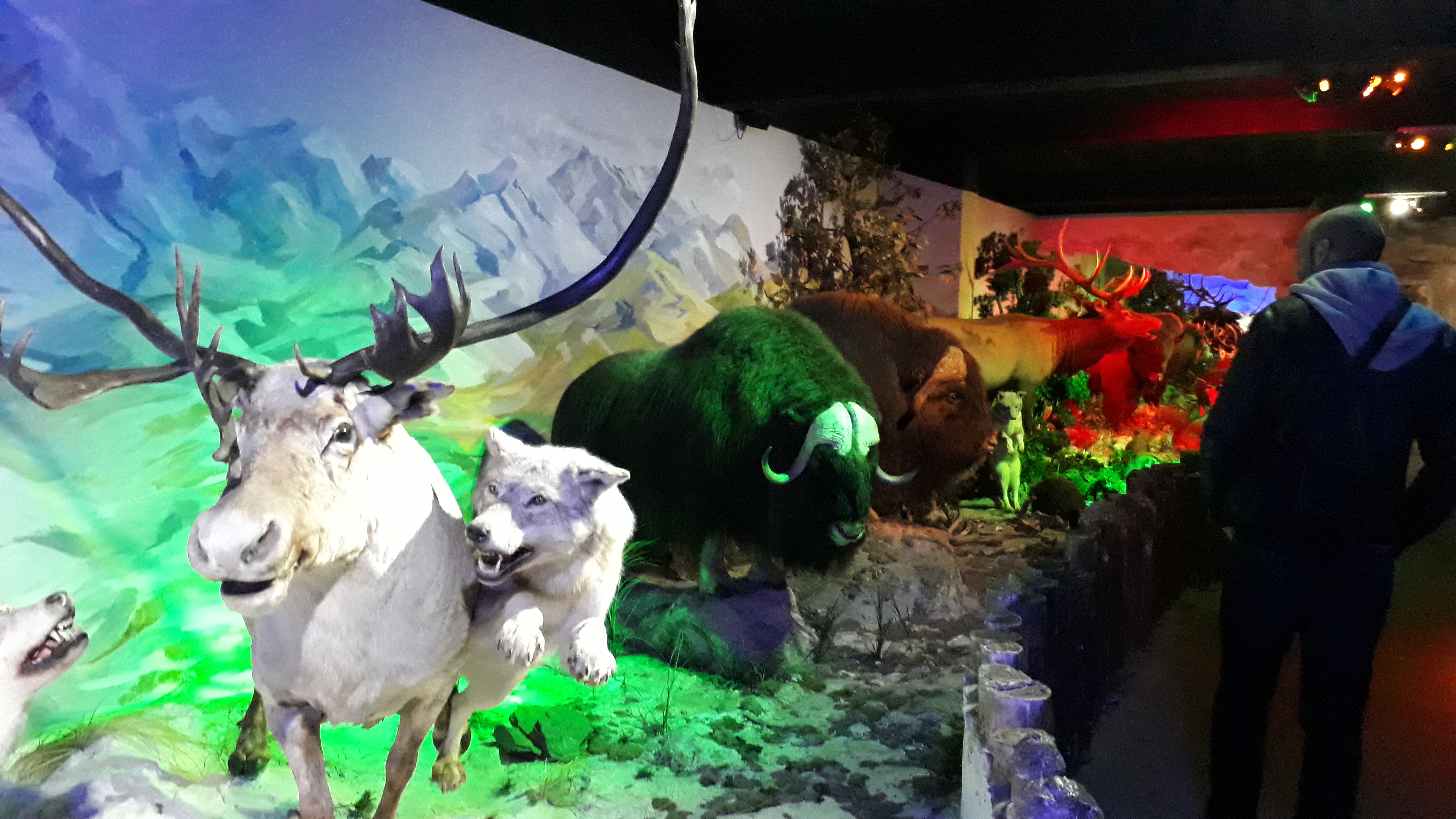 Photo n° 7 de l'avis de Mickaël.a fait le 06/11/2018 à 17:43