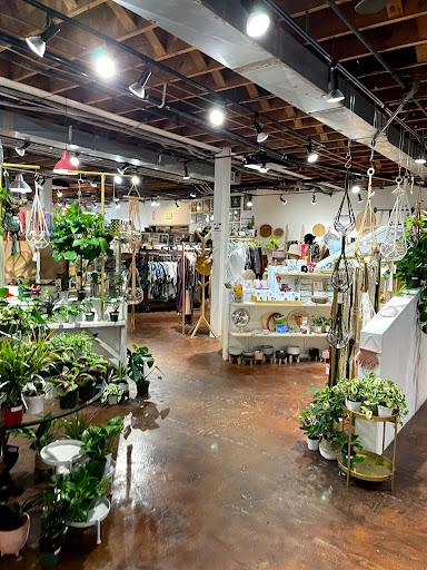 Gift Shop «Pangaea Outpost», reviews and photos, 909 Garnet Ave, San Diego, CA 92109, USA