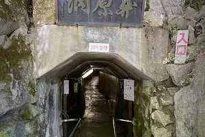 Sekigahara Limestone Cave image