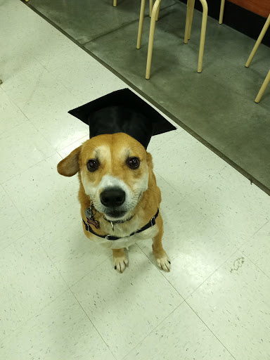 Pet Supply Store «PetSmart», reviews and photos, 2784 Wilma Rudolph Blvd, Clarksville, TN 37040, USA