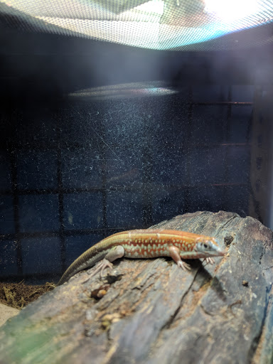 Pet Store «All About Pets LLC», reviews and photos, 52567 Columbia River Hwy, Scappoose, OR 97056, USA