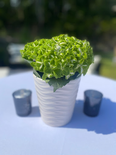 Wedding Planner «Stunning & Brilliant Events, LLC», reviews and photos, 3542 St James Ave, Myrtle Beach, SC 29577, USA