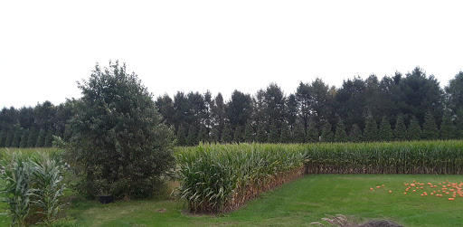 Childrens Farm «Best Long Island Pumpkin Picking», reviews and photos, 250 Old Country Rd, Melville, NY 11747, USA