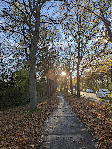 Little Moor - Newcastle upon Tyne