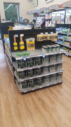 Paint Store «Sherwin-Williams Paint Store», reviews and photos, 6060 Alden Bridge Drive, Spring, TX 77382, USA