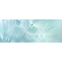 Goodson & Taylor CPAS - Photo 7 - Car repair in Wilmington, NC, Wilmington