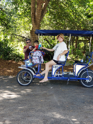 Zoo «Zoo Miami», reviews and photos, 12400 SW 152nd St, Miami, FL 33177, USA