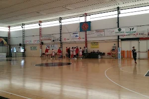 ASD basketball Civitavecchia image
