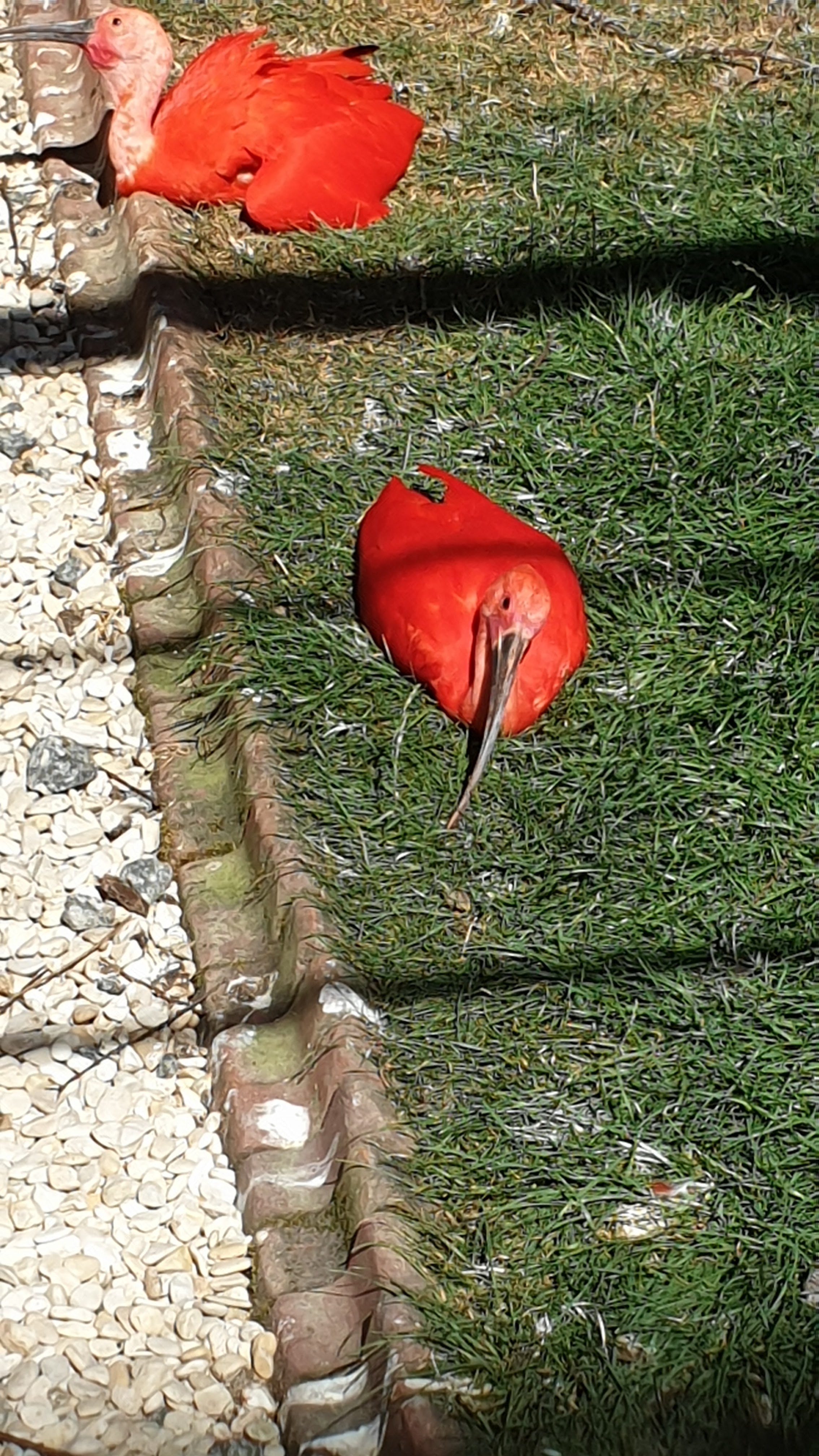 Photo n° 4 de l'avis de Robert.o fait le 09/08/2022 à 13:25