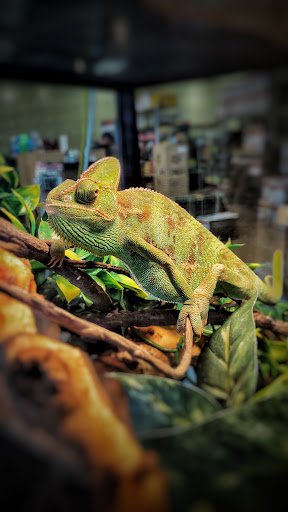 Pet Store «Zookeeper Exotics», reviews and photos, 9012 Research Blvd, Austin, TX 78758, USA