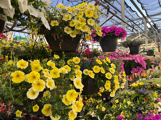 Home Improvement Store «The Home Depot», reviews and photos, 1781 E Bayshore Rd, East Palo Alto, CA 94303, USA