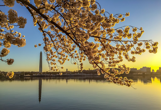Monument «Washington Monument», reviews and photos, 2 15th St NW, Washington, DC 20024, USA