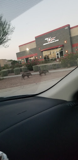 Auto Repair Shop «Auto Xtreme Service», reviews and photos, 17561 N 91st Ave, Peoria, AZ 85382, USA