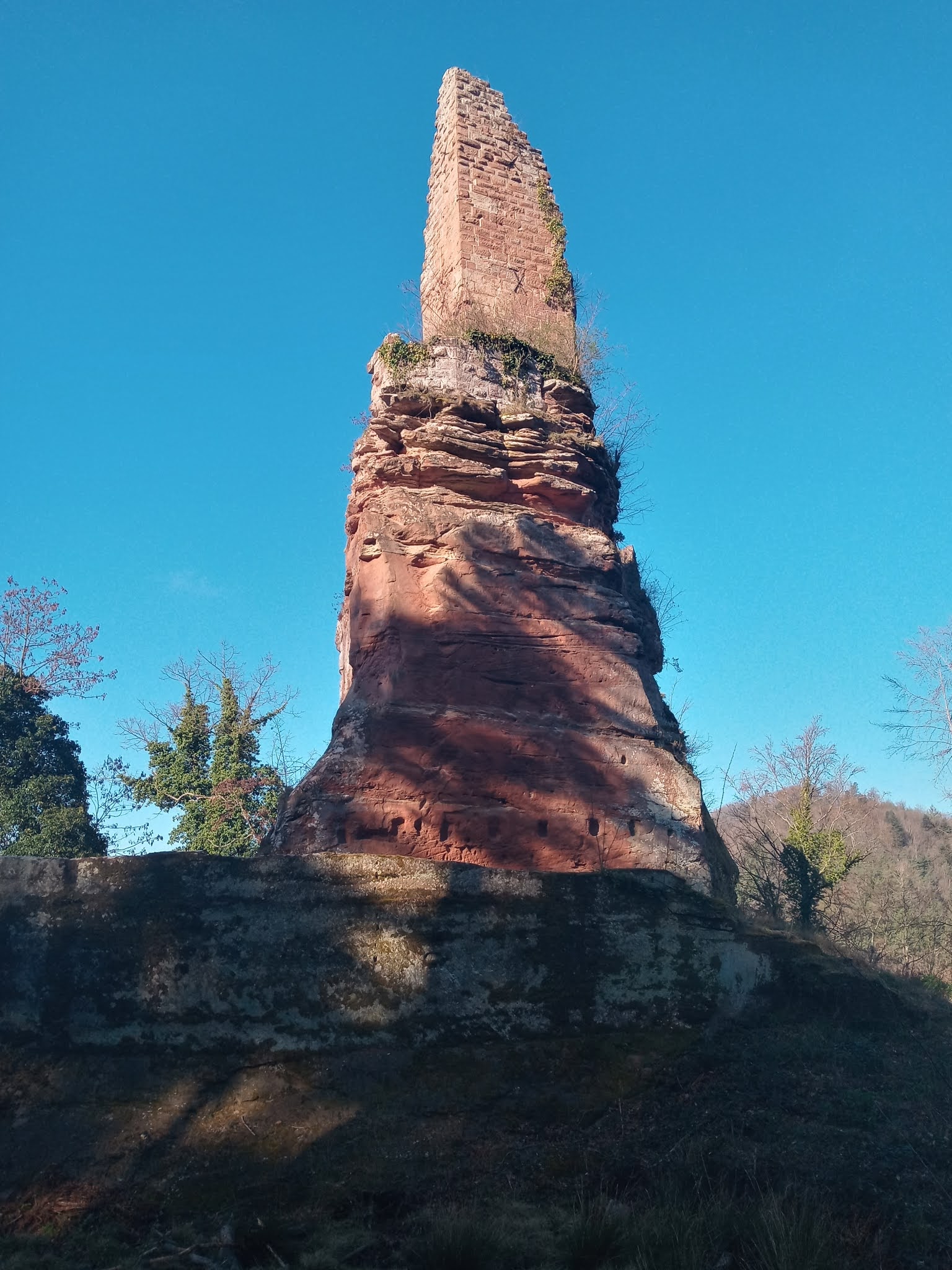 Photo n° 23 de l'avis de Manuela.s fait le 03/04/2021 à 09:38