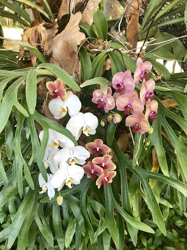 Florist «Artistic First Florist», reviews and photos, 805 20th St, Vero Beach, FL 32960, USA