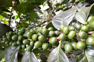 Finca Agroturistica Dulima image