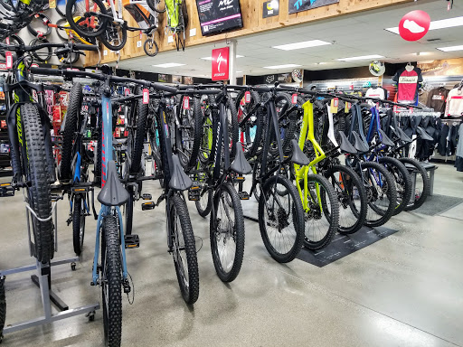 Bicycle Store «Bicycle Centres of Everett», reviews and photos, 4707 Evergreen Way, Everett, WA 98203, USA